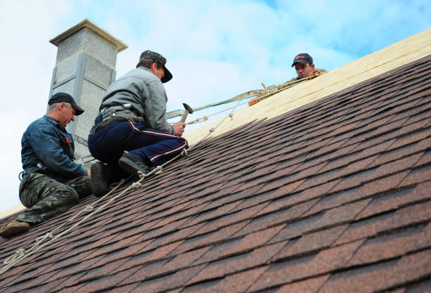 Best New Roof Installation  in Lower Lake, CA