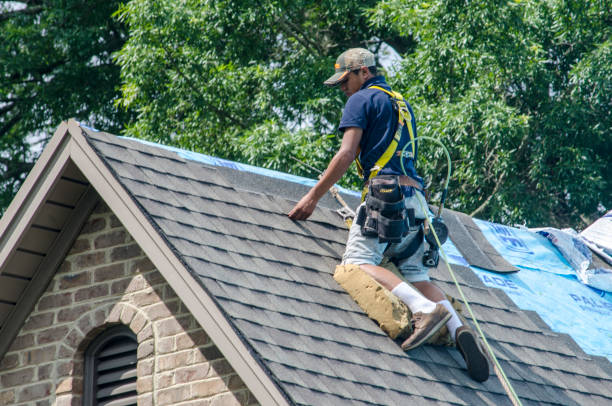 Best Roof Waterproofing Services  in Lower Lake, CA